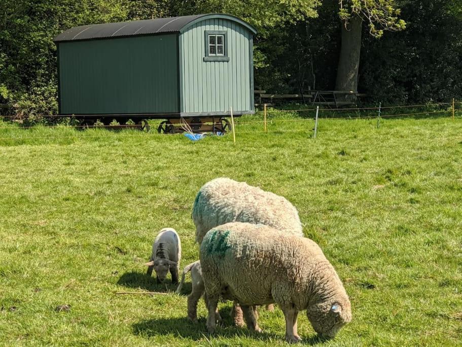 The Piggery Villa Cowfold Exterior photo